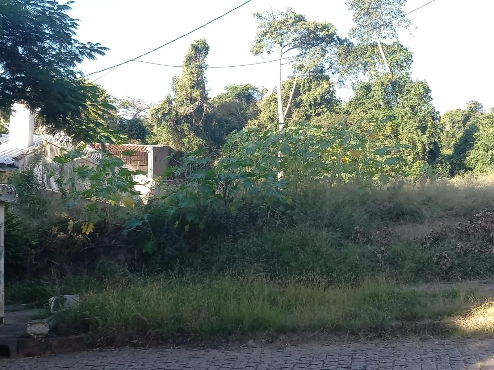 Imagem Terreno, bairro Nonoai