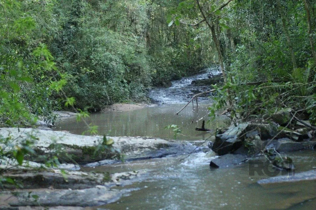 Imagem Terreno em Padre Elly