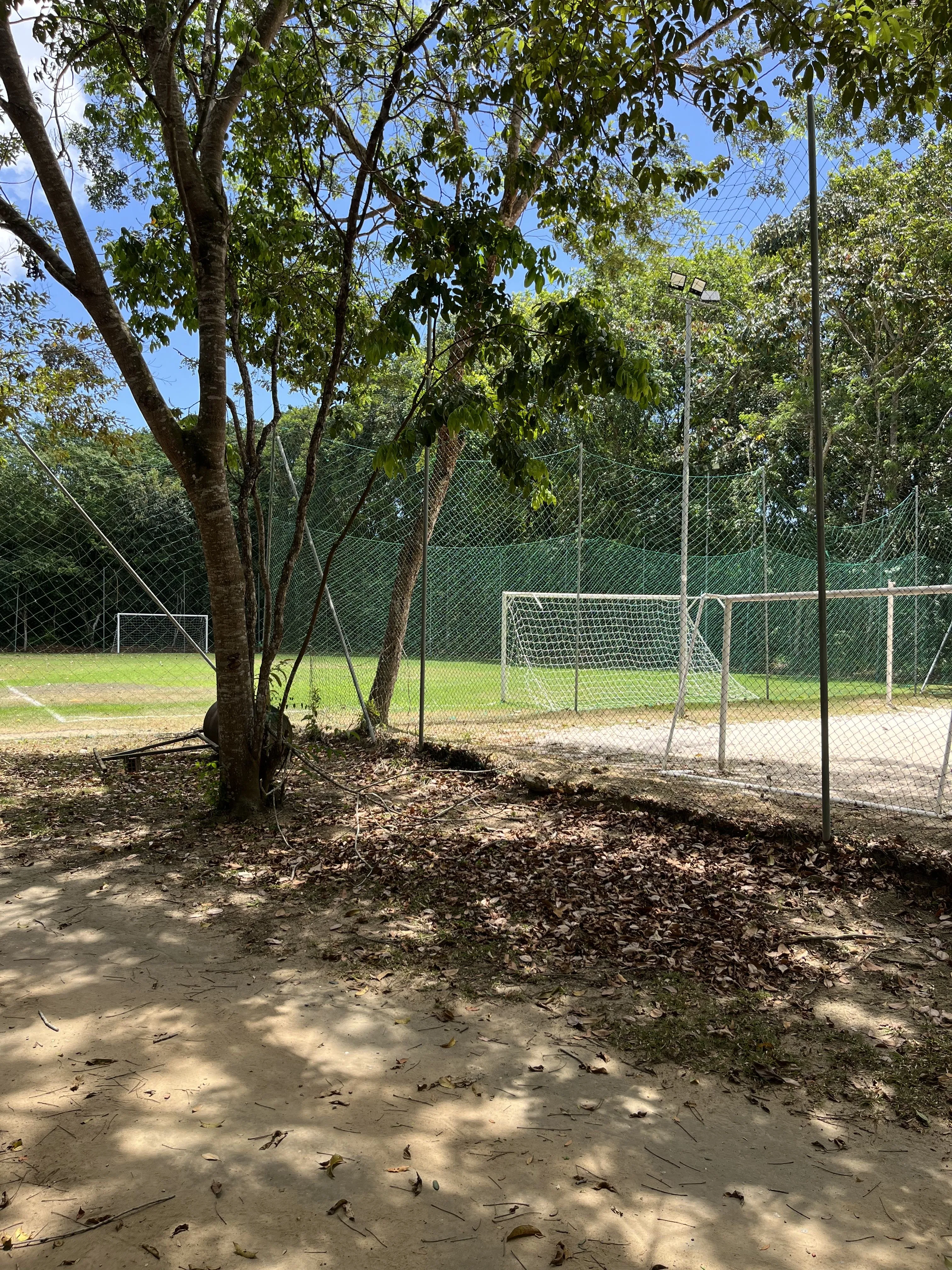 Imagem Se a ideia é viver com amplitude, conforto e leveza, esta residência entrega tudo isso em grande e...