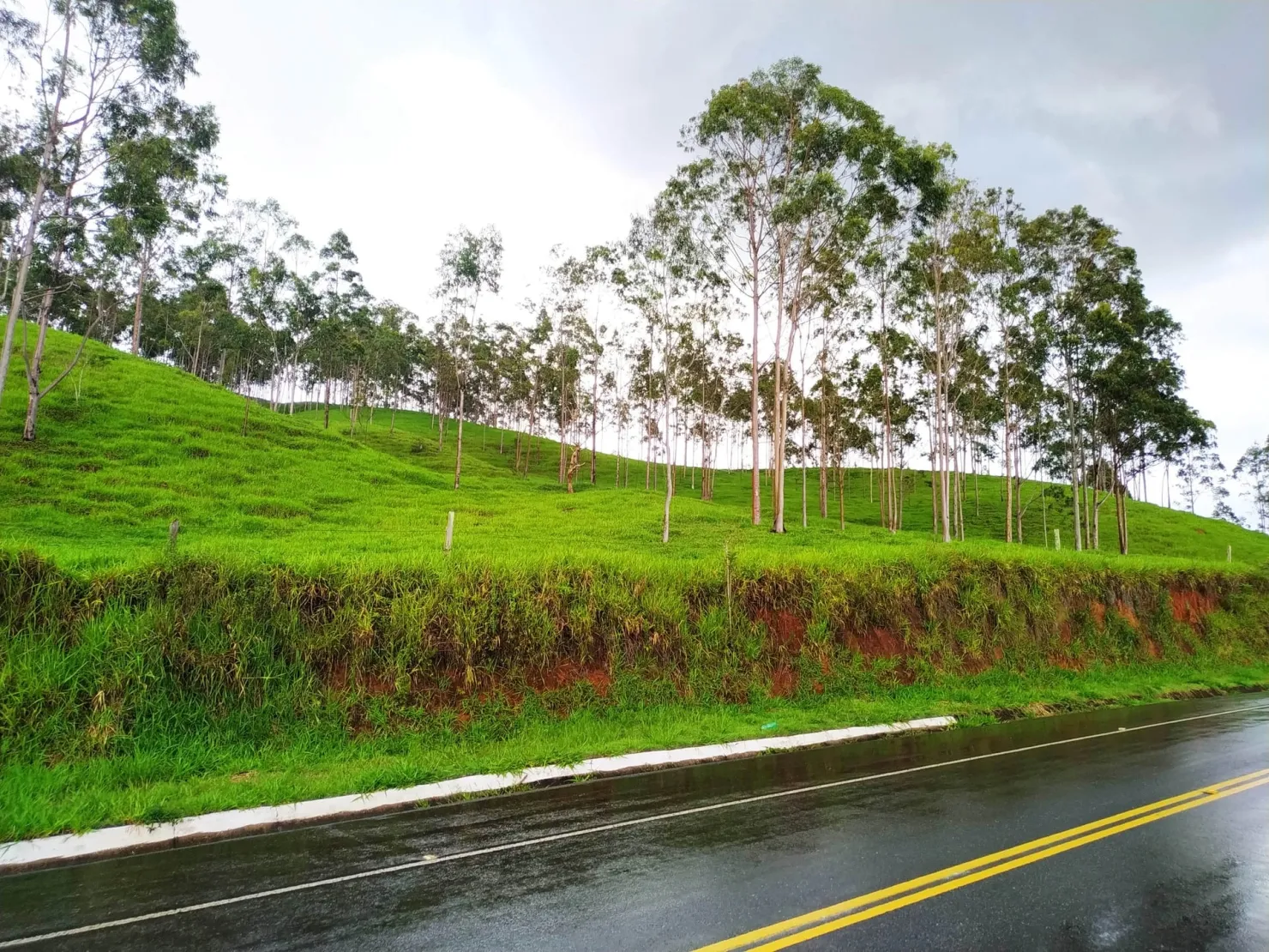 Imagem Chácara à venda 30000M², Zona Rural, Silveiras - SP