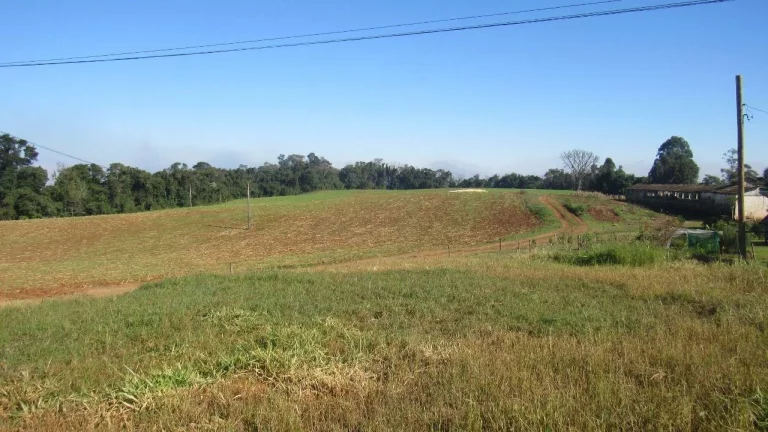 Imagem Terreno para Venda em Concórdia, Santo Antônio