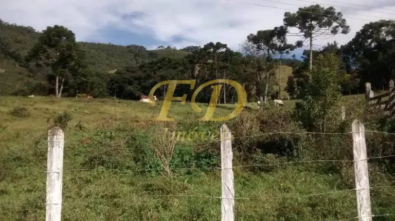 Imagem Fazenda em Joanópolis