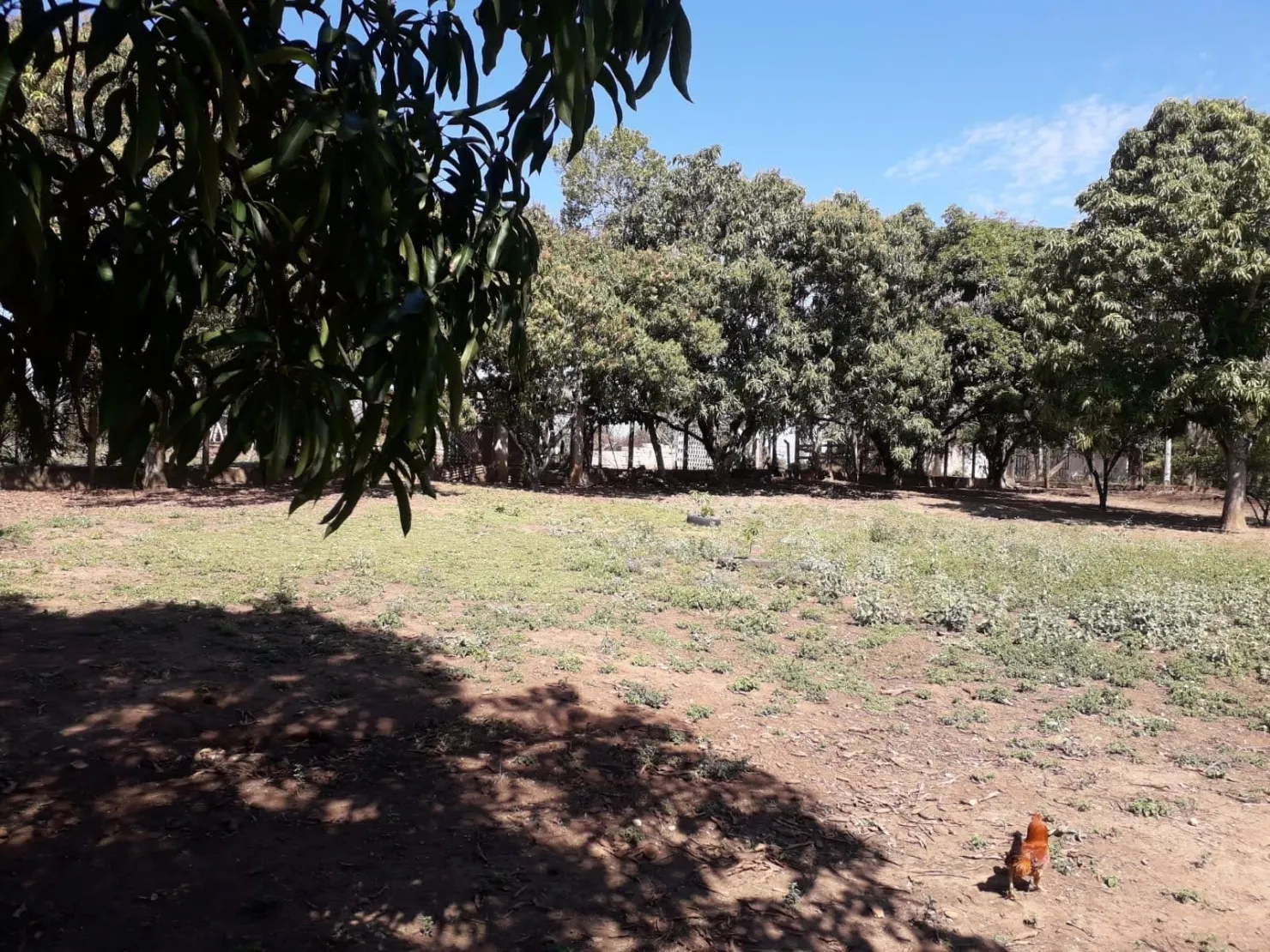 Imagem Terreno à venda Goiabal, Pindamonhangaba - SP