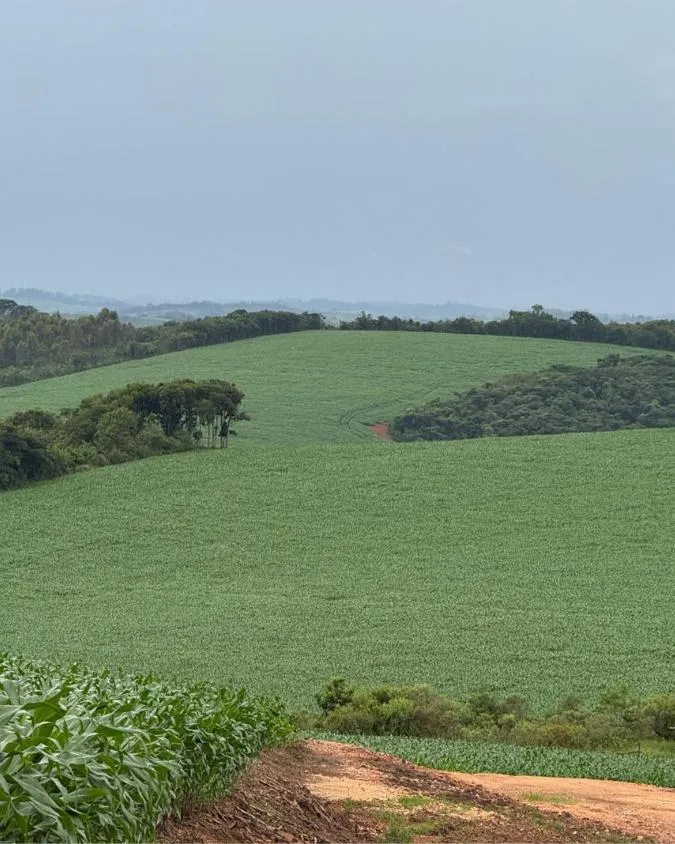 Imagem FAZENDA À VENDA - ENTRE RIOS DE MINAS 500 hectares de terra