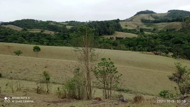 Imagem Sítio Joanópolis 11 alqueires pasto riacho escritura!!