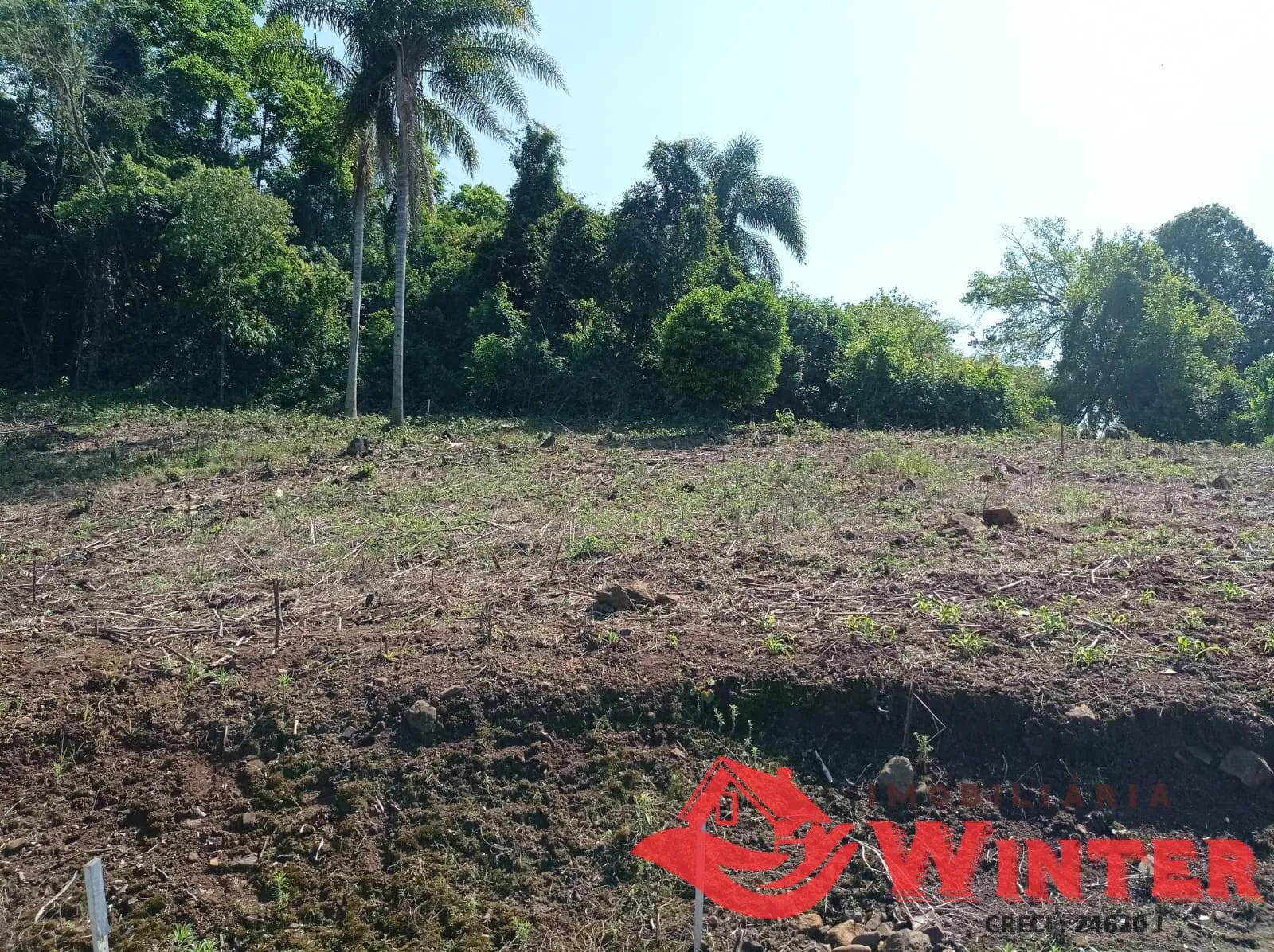 Imagem Terreno de 361,51m² em Arroio do ouro, Vale Real.