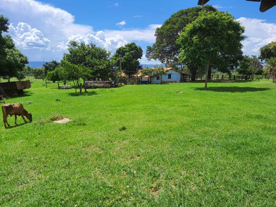 Imagem Oportunidade Imperdível: Fazenda de 1.272 Hectares em Augusto de Lima
