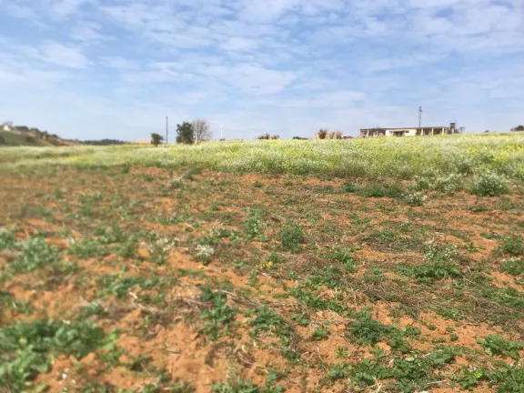 Imagem Terreno à Venda, 1.000 m² em verava - Ibiúna