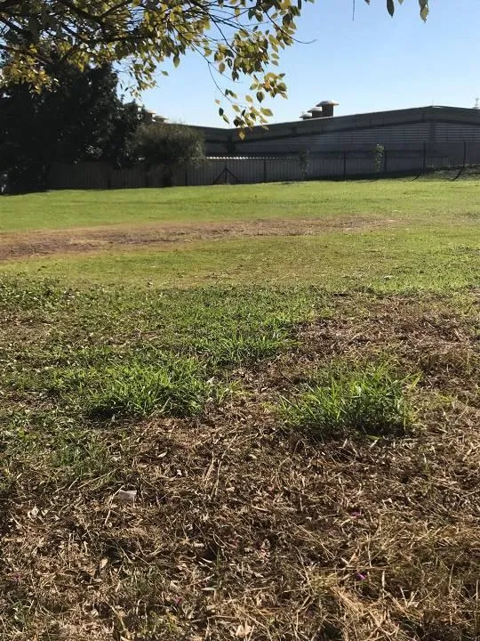 Imagem TERRENO COM GALPÃO- FZ SANTA CANDIDA -CAMPINAS