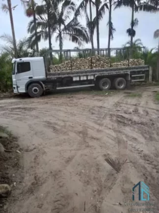 Imagem Chácara/Sítio, propriedade produtiva, 30 hectares com plantação de palmito pupunha, em Guaratuba PR