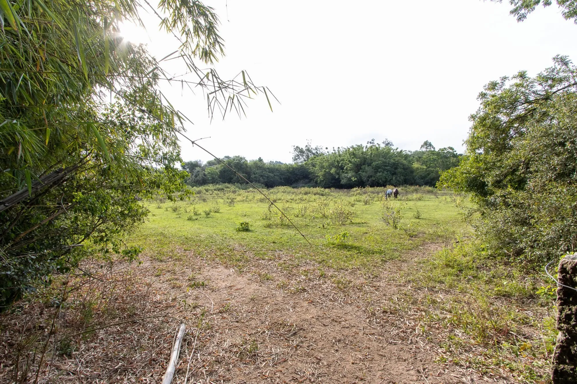 Imagem Área medindo 33.426m²!