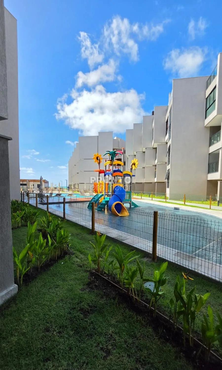 Imagem Nomar Carneiros Ecoliving