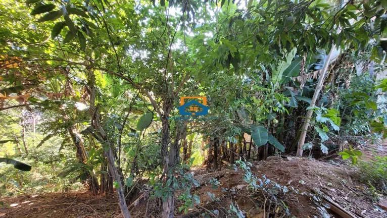 Imagem Lote de 495m² a venda no bairro Caravelas.