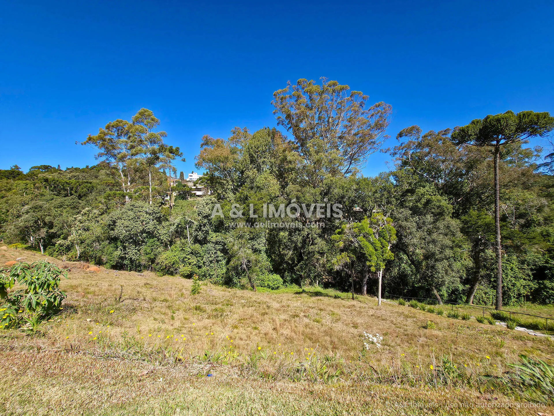 Imagem Lote à venda no Reserva Figueiredo | Campos do Jordão