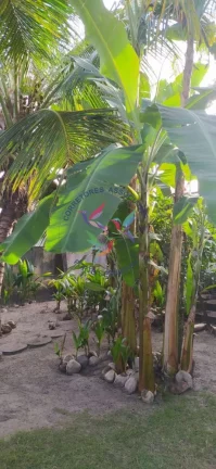 Imagem TERRENO NA PRAIA DE TAPERAPUAN
