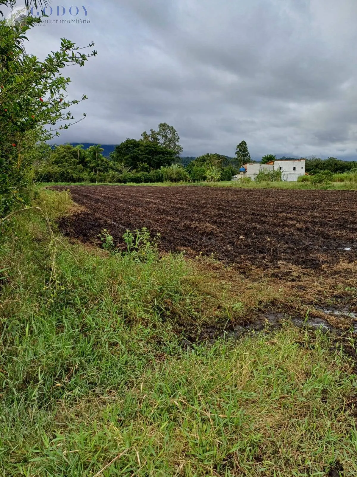 Imagem ÁREA RURAL