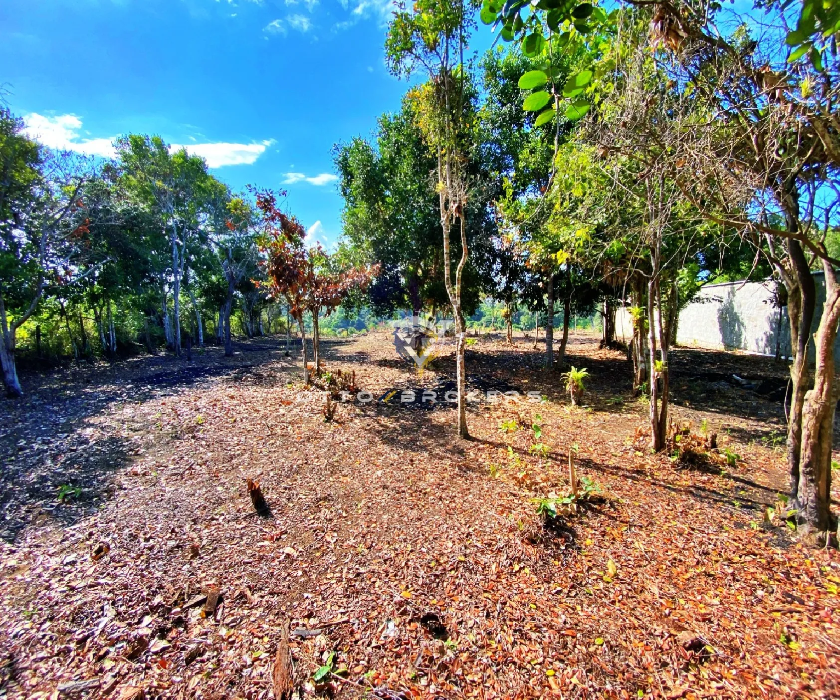 Imagem TERRENO RESIDENCIAL em Porto Seguro - BA, CHÁCARAS PANÔRAMICAS