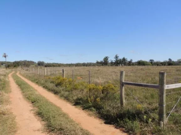 Imagem Terreno residencial fora de condomínio, Morro Grande / Viamão