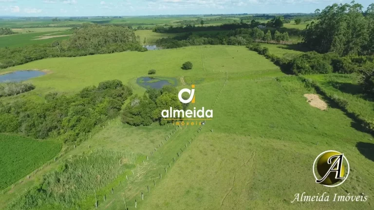 Imagem Chácara com 6,2 ha