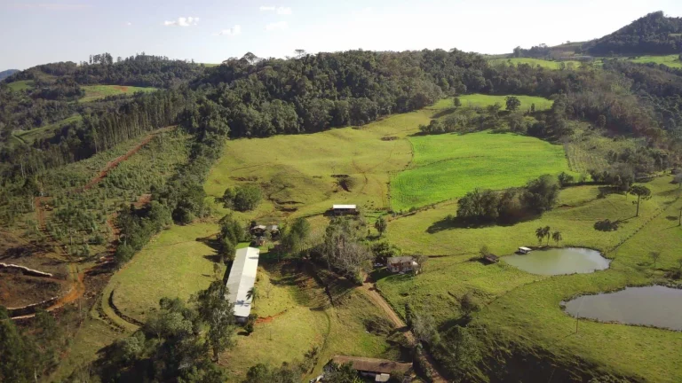 Imagem Área Agrícola para Venda em Concórdia, Rural
