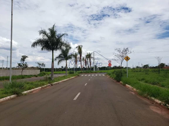 Imagem Terreno Padrão