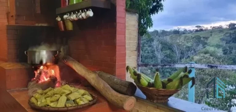 Imagem Fazenda em Abadiânia, muita água (permuta total se for em Goiânia) GOIANIA - GO