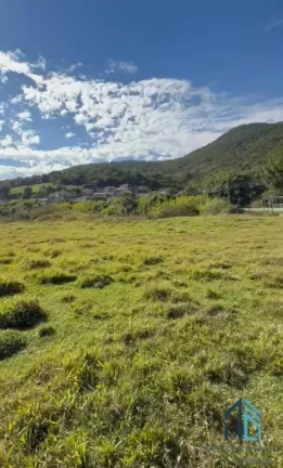 Imagem Terreno de frente pra Rodovia com, 110 de frente X 800 fundos em São José SC