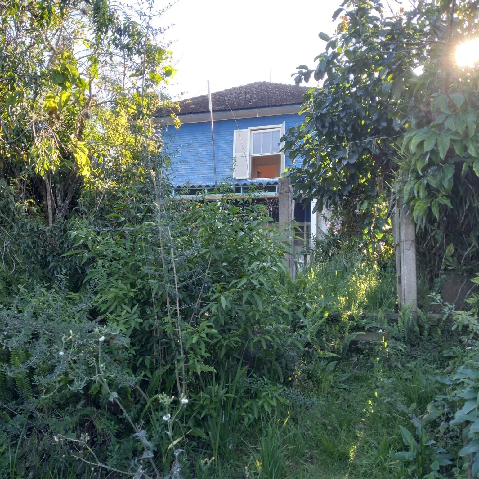 Imagem EXCELENTE TERRENO EM BELÉM VELHO