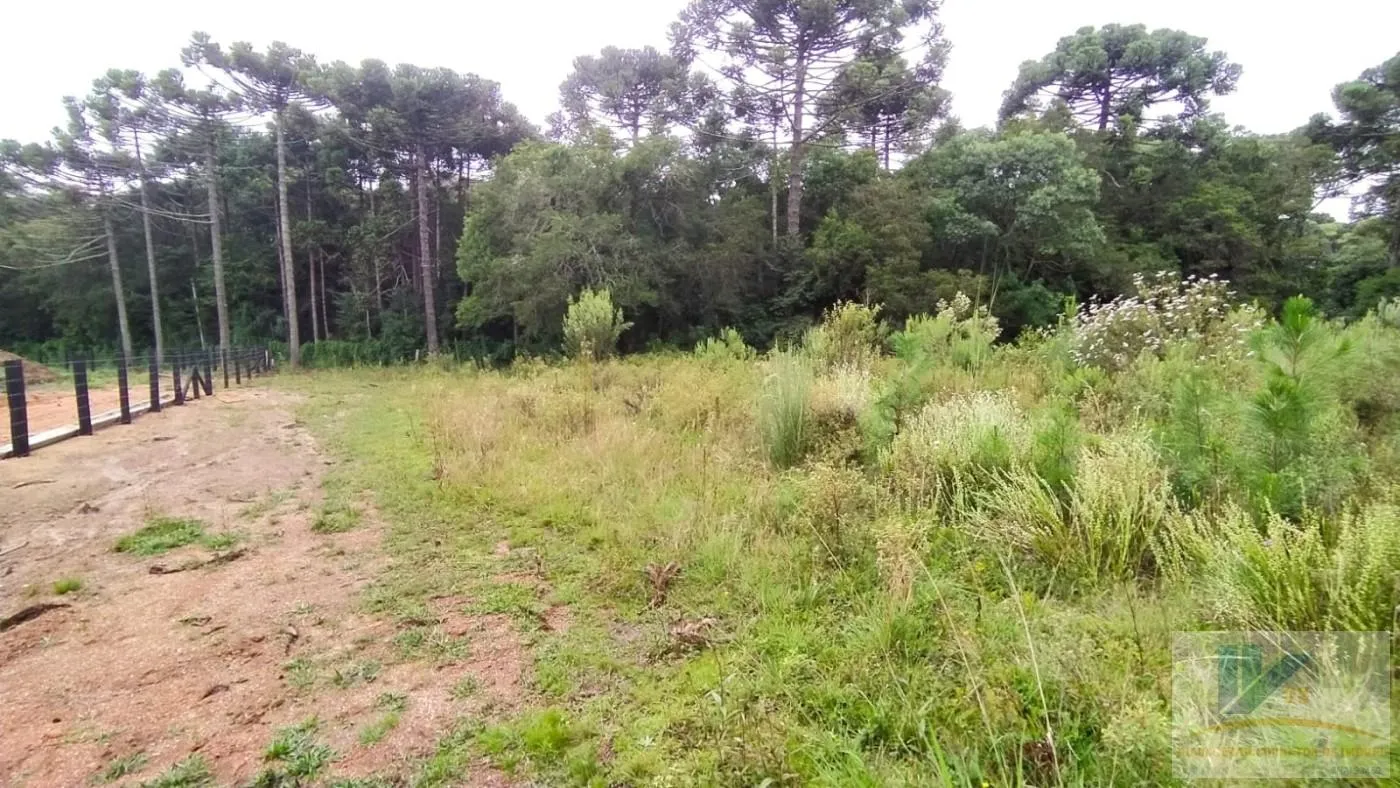 Foto do imóvel Terreno para Venda em São José dos Pinhais, Contenda em Rua Nossa Senhora das Graças, 610 - Contenda, São José dos Pinhais - PR