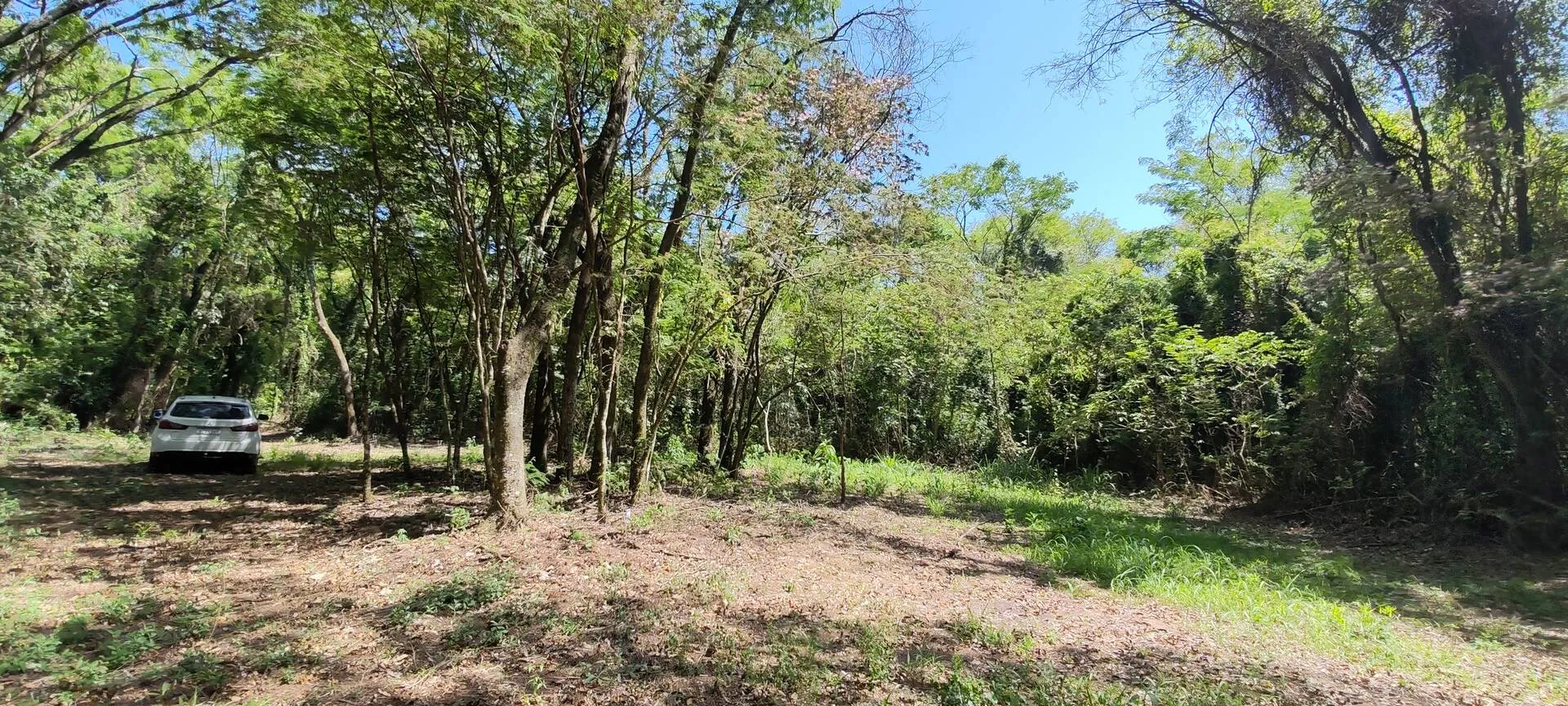 Imagem Chácara a venda em Cascavel, com 2,0992 hectare cada uma e matrícula indiviauais.