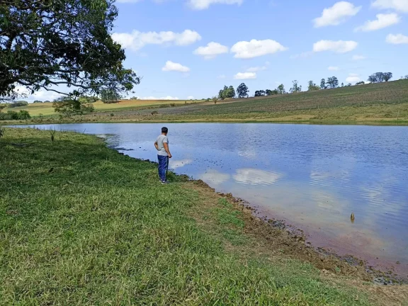 Foto do imóvel Sitio com água abundante - OPORTUNIDADE no Interior de São Paulo