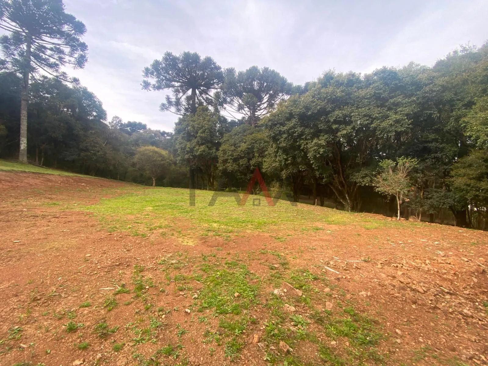 Imagem Chácara à venda, Alto Cascavel, GUARAPUAVA - PR