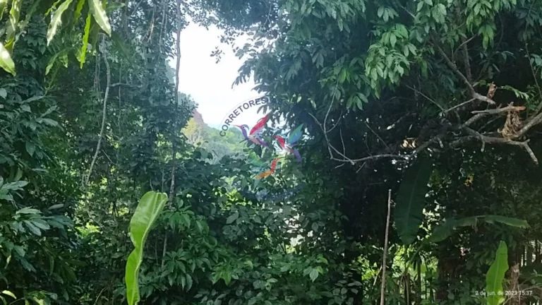 Imagem TERRENO NA CIDADE HISTÓRICA