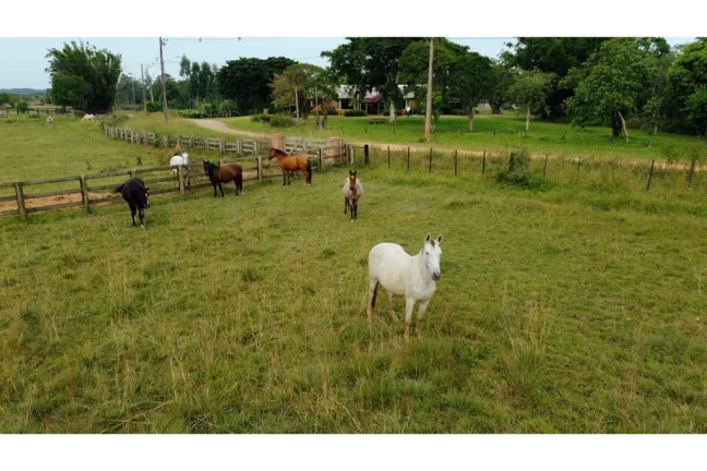 Imagem SSJEG 790 612531061-6 - Fazenda à venda no bairro São José - Viamão/RS