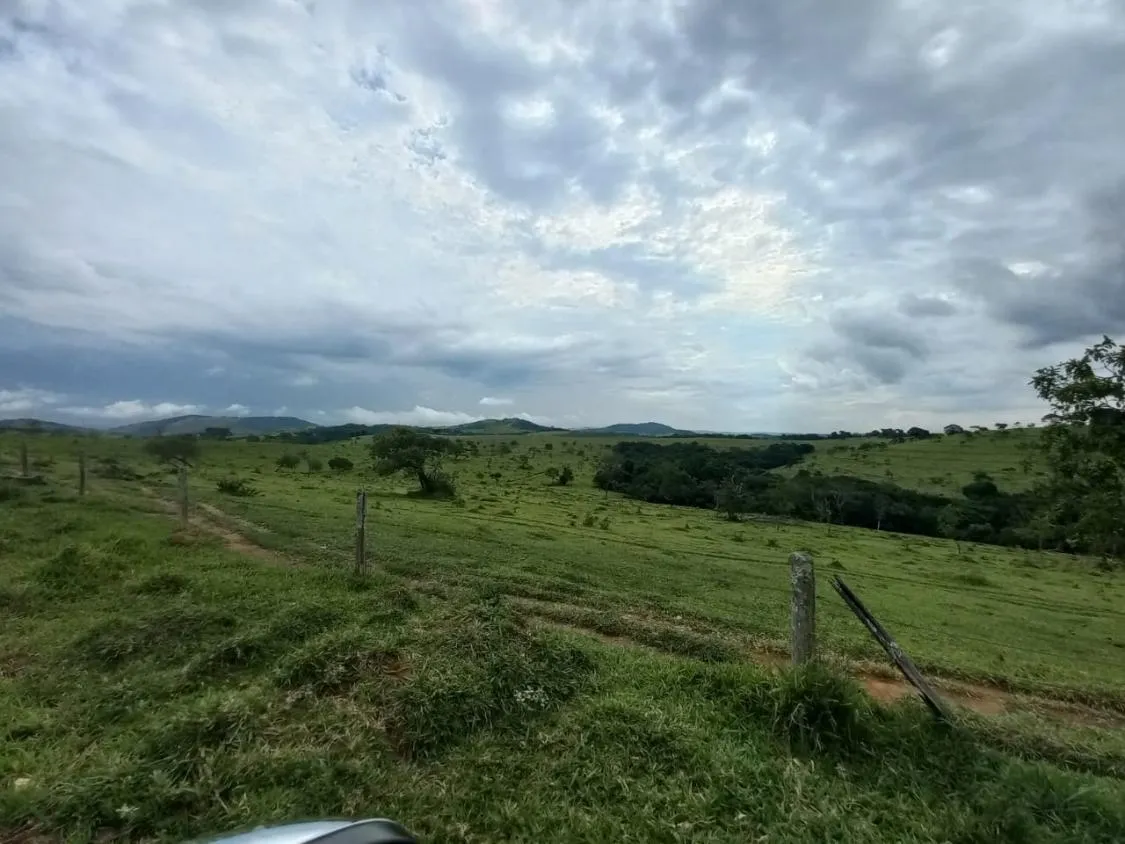 Imagem FAZENDA DE ALTO PADRÃO À VENDA - SUL DE MINAS 1.488 hectares de área total
