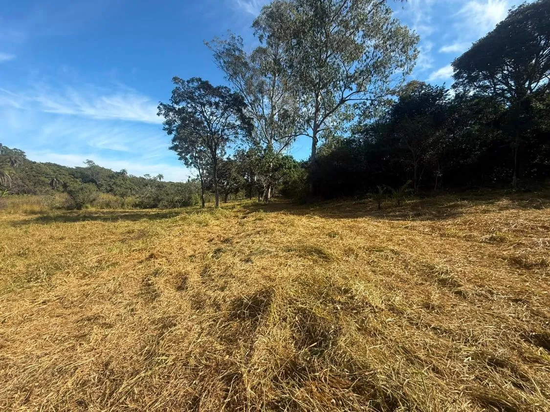 Imagem FAZENDA À VENDA EM CARMÓPOLIS DE MINAS /Área total: 315 hectares