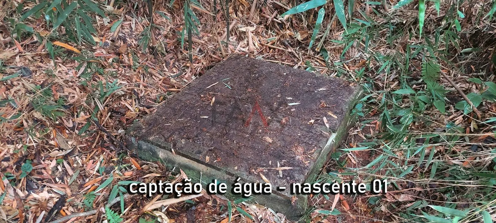Imagem Chácara com 2 dormitórios à venda,60500.00 m , Guabiroba, GUARAPUAVA - PR