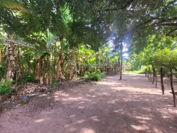 Imagem ÁREA COMERCIAL NA TOMAZ LANDIM
