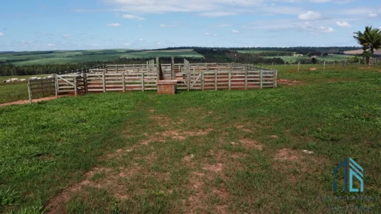 Imagem Fazenda, excelente área rural 87.5 alqueires em Ivaté, próximo a Umuarama no Parana Pr