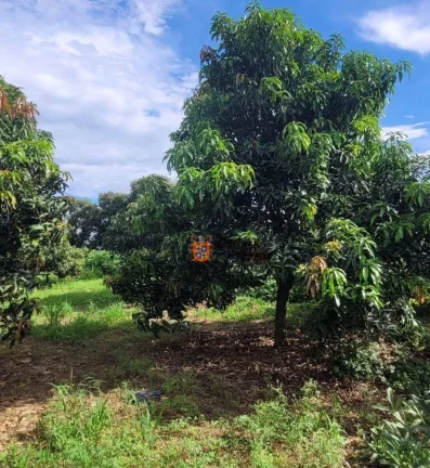 Imagem Sítio Produtivo à venda, 44500 m² por R$ 1.250.000 - Monte Mor - Monte Mor/SP