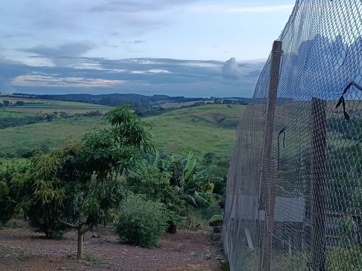 Imagem Chácara à venda, 20000 m² por R$ 430.000,00 - Área Rural de Patos de Minas - Patos de Minas/MG