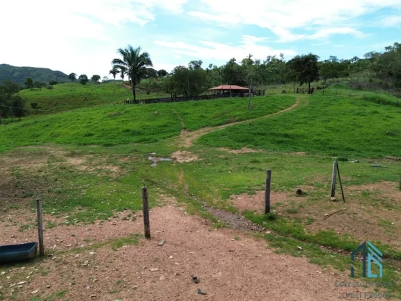 Imagem Fazenda localizada em Minaçu - GO a 70km da cidade de Goiânia - GO, com fácil acesso de carro.