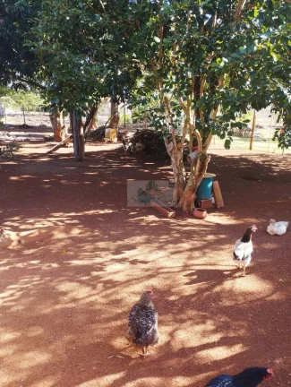 Imagem CHÁCARA REUNIDAS PILAR DO SUL