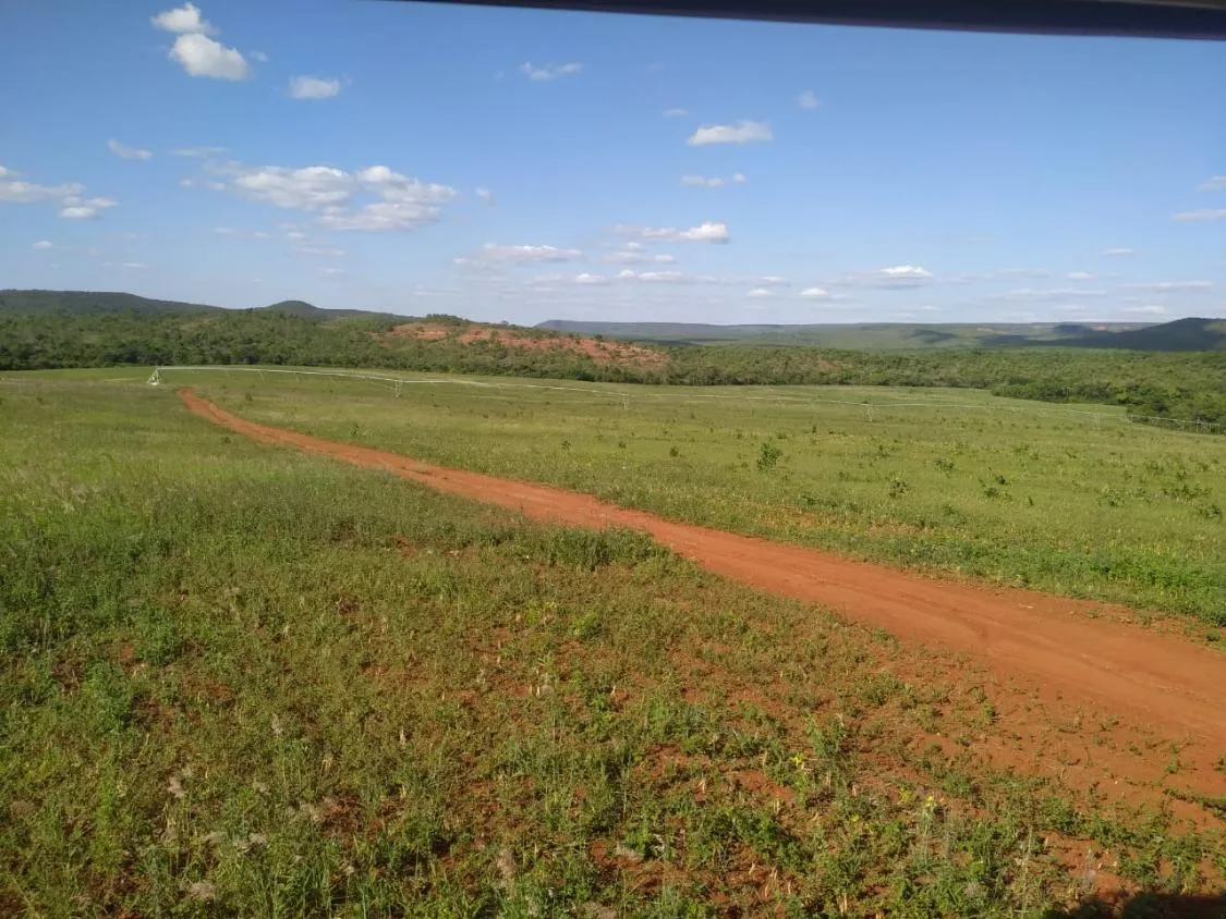 Imagem FAZENDA PORTEIRA FECHADA À VENDA - REGIÃO DE DIAMANTINA 257 hectares de área total