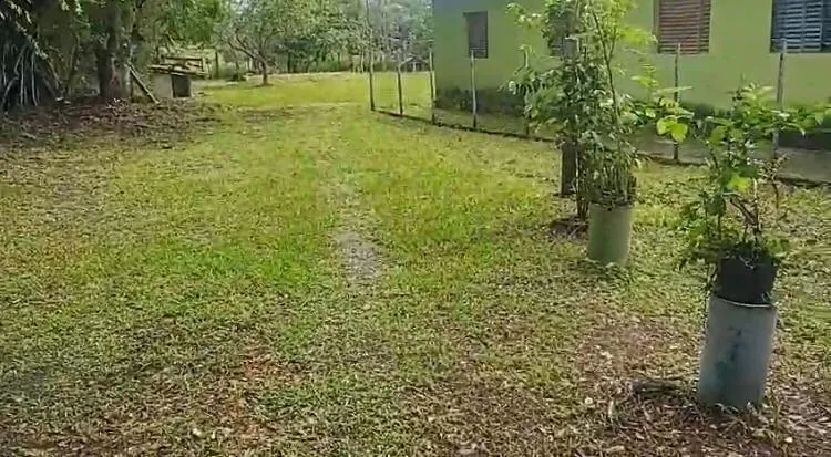 Imagem Vendo um ótimo sítio na região de Bom Despacho , com 18.600 m² de terra