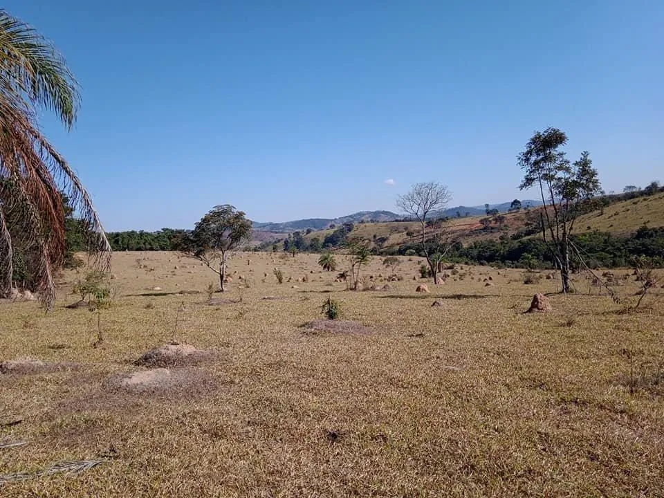 Imagem Vendo Excelente Fazenda em Bonfim/MG 90 hectares de terra