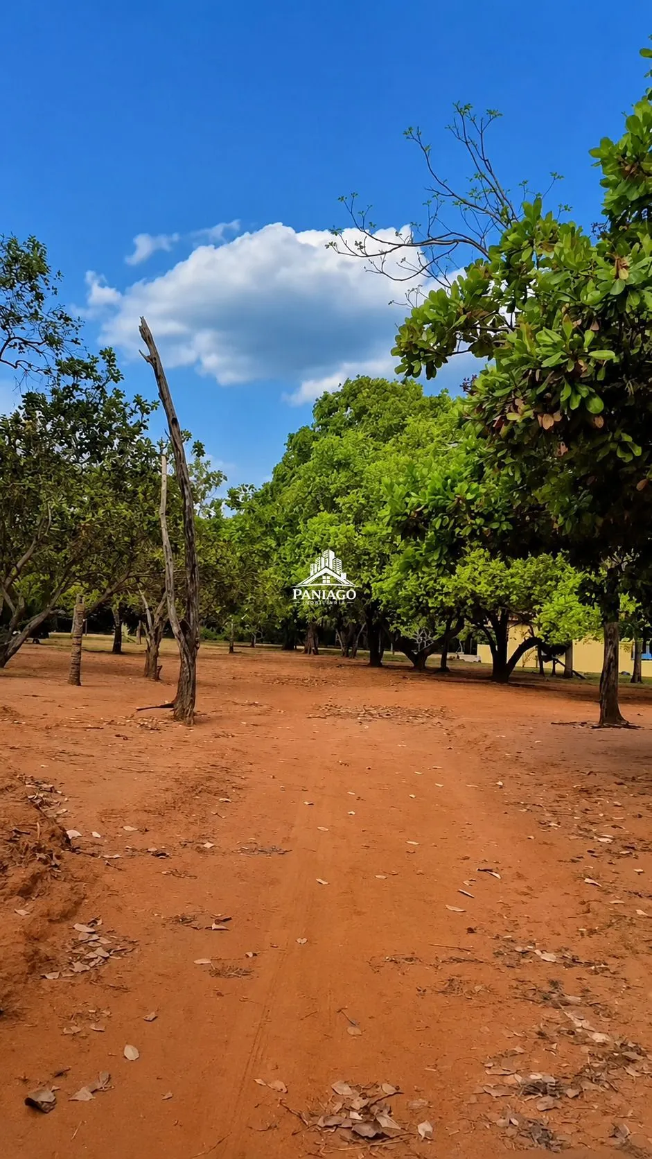 Imagem Propriedade de 10 Hectares à Venda no Lago do Manso | Porteira Fechada