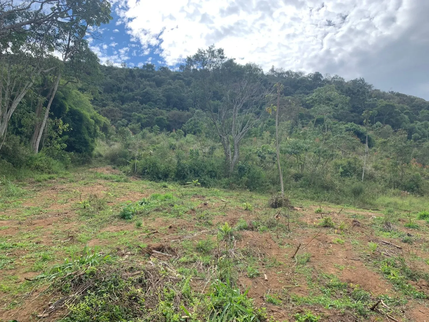 Imagem Chácara à venda Zona Rural, Pindamonhangaba - SP