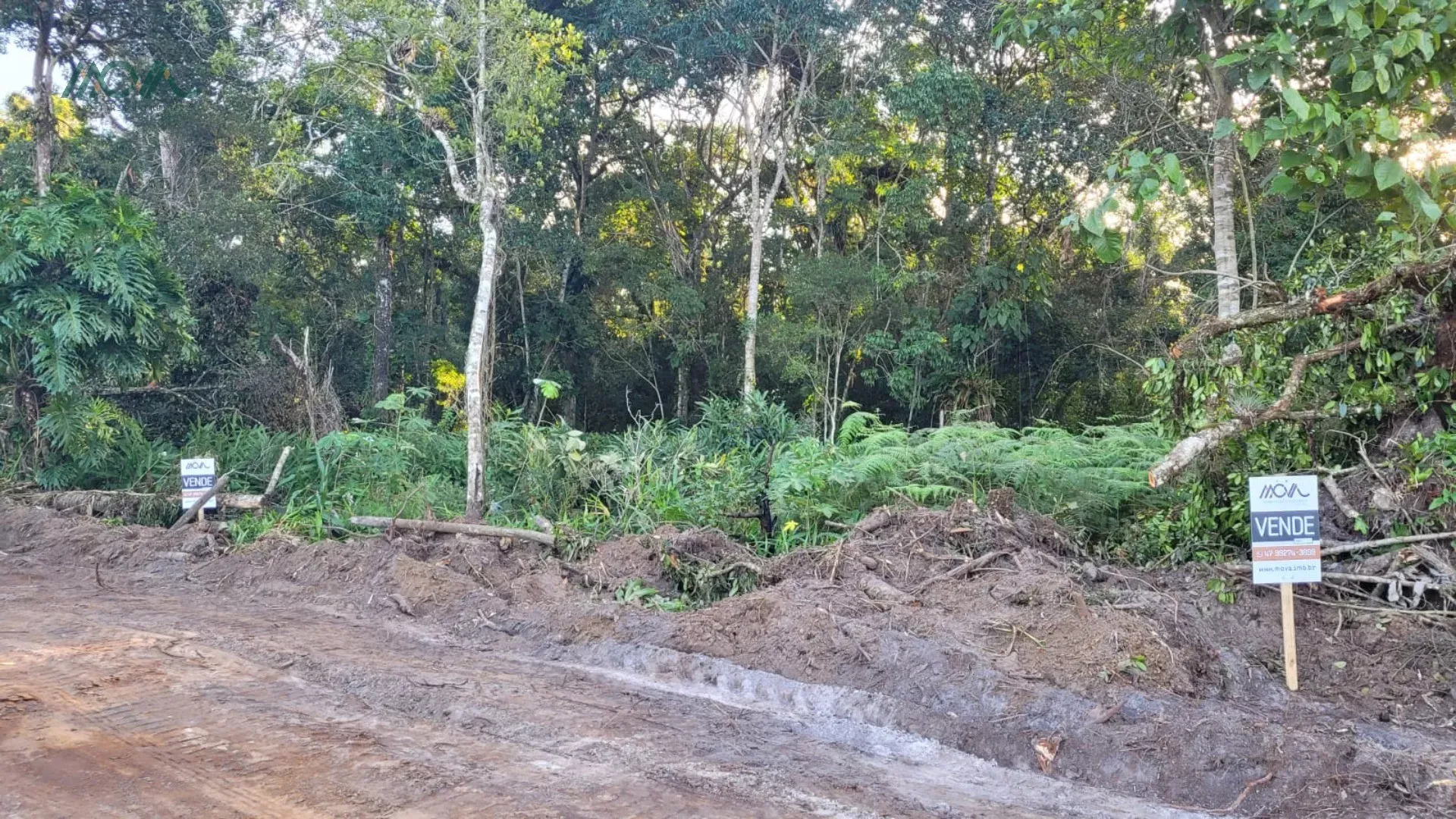 Imagem 4 terrenos sendo uma ESQUINA, com vegetação, localizado na Rua 2730, 888 - Bairro Pontal do Norte ...