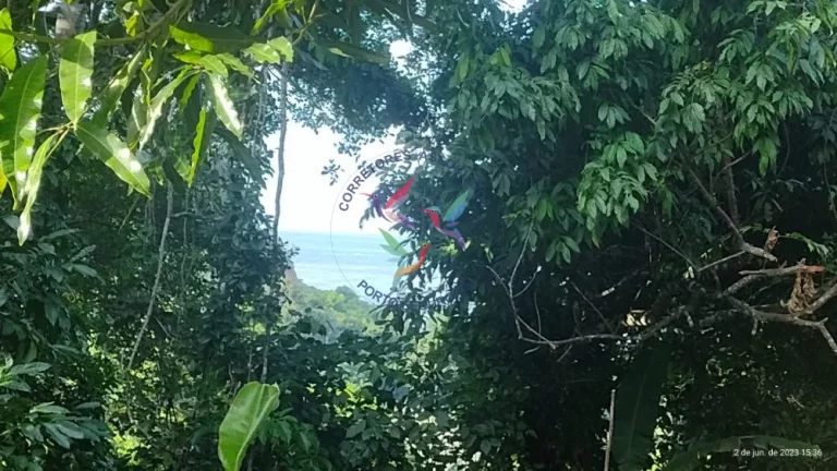 Foto do imóvel TERRENO NA CIDADE HISTÓRICA